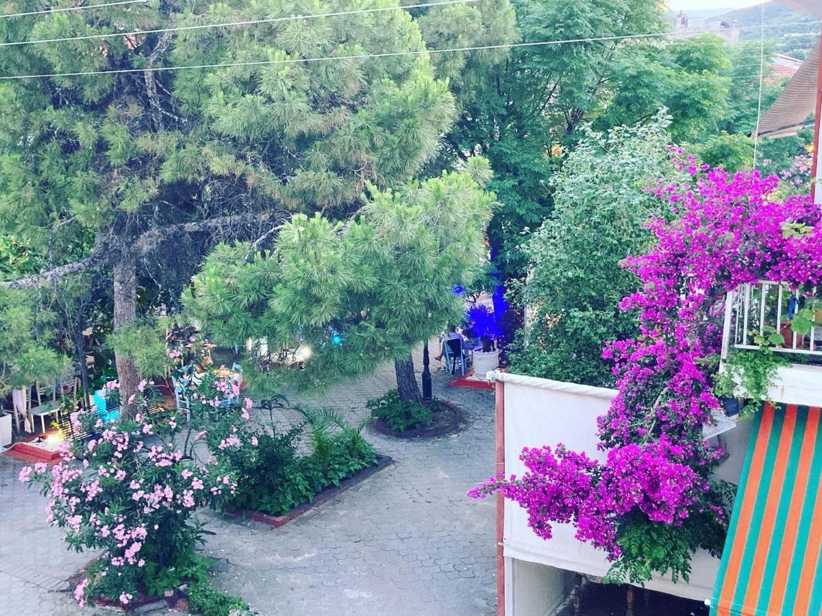 Villa Ulyana Sarti - Ancient Greece In Center Екстериор снимка